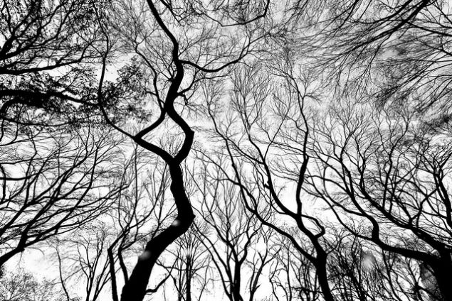 Thomas Hawk/flickr.