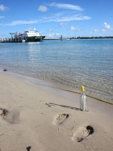 One of TK bottle found in Virginia Key, Bear Cut, Florida.