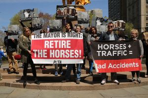 Protestors support the mayor's efforts to remove horses from New York streets last spring. (Photo Spencer Platt/Getty Images)
