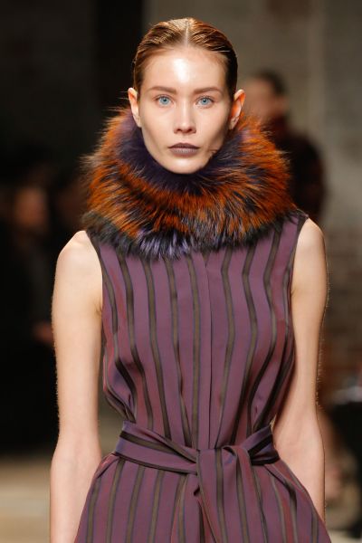 Purple and orange fur make a great contrast