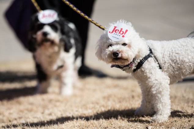 Dogs show their owner's support for Republican presidential candidate Jeb Bush following a campaign event February 19, 2016 in Greenville, South Carolina. The South Carolina Republican primary will be held Saturday, February 20.