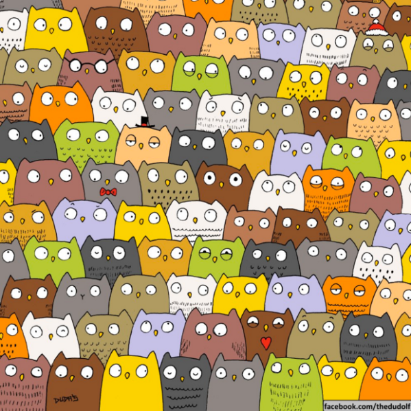 Find the cat among the owls.