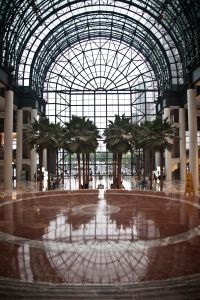 The Winter Garden Atrium. (Photo: Celeste Sloman for Observer)