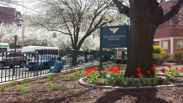 Exterior of Yale New Haven Hospital.