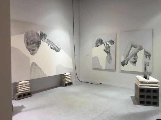 Anthony Goicolea, Installation view at Galeria Senda at Volta NY.