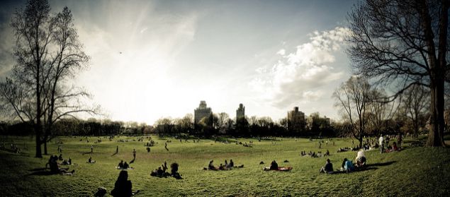 Prospect Park Long Meadow.