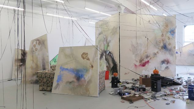 Lucy Dodd, installation view of Wuv Shack at David Lewis Gallery, 2015.