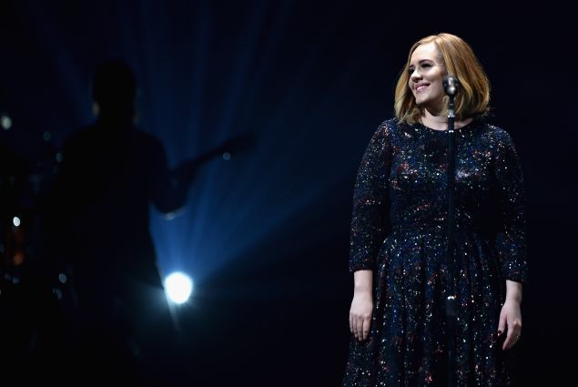 A closer view of Adele's Burberry dress