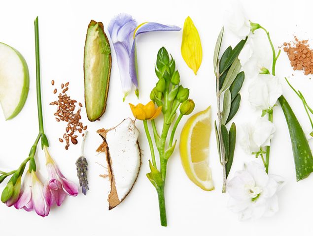 The organic products found in the Goop skincare range
