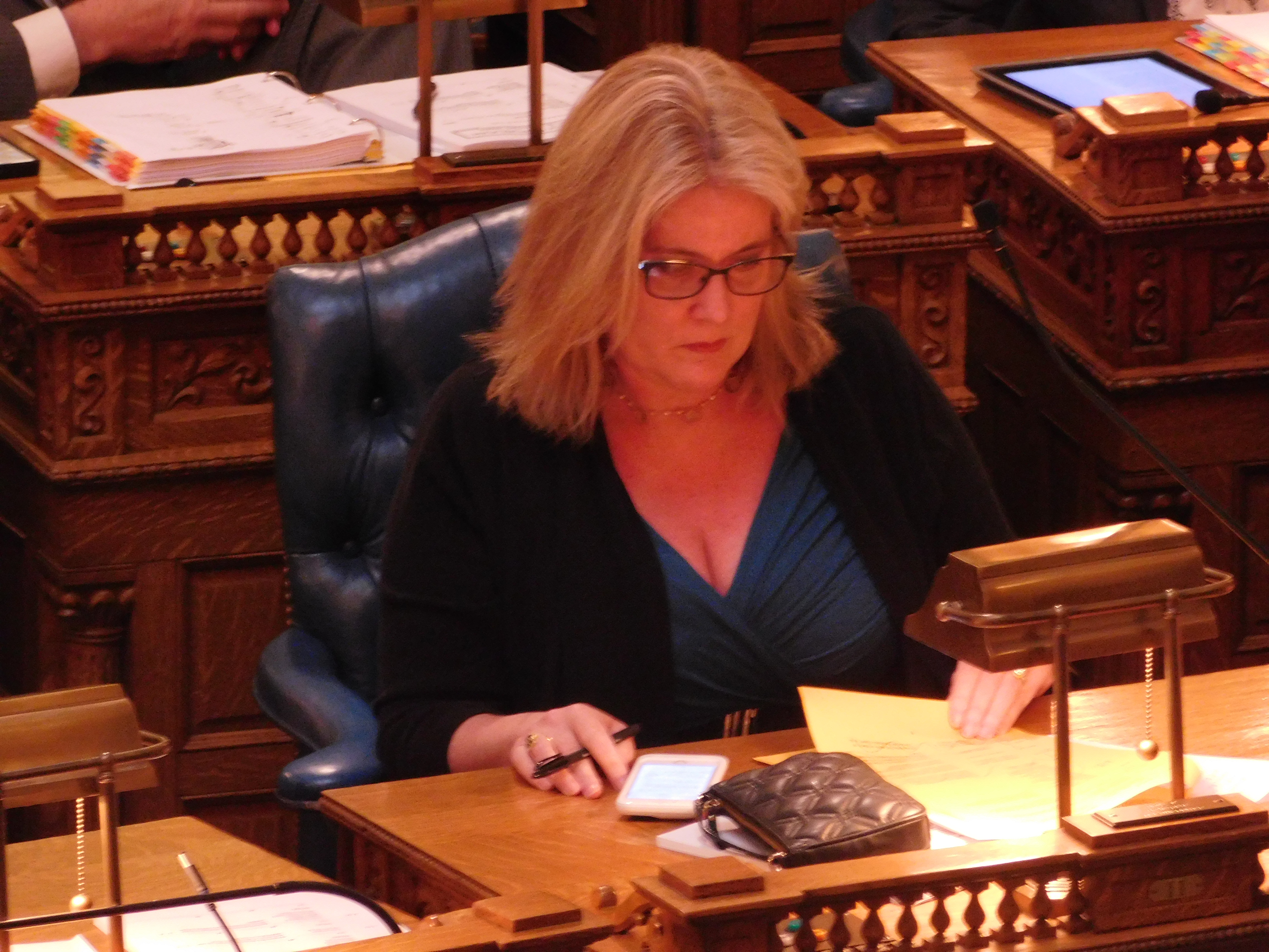 Schepisi does not support casino expansion as it is currently.