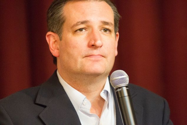 Senator Ted Cruz (R-TX) speaks at a campaign rally on March 14, 2016 in Decatur, Illinois. The Illinois primary is March 15.