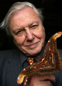 Sir David Attenborough