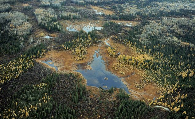 A lake in the boreal forest in northern Alberta.