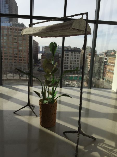 Evan Holloway, Plant with Lamp, (2016), at David Kordanksy Gallery.