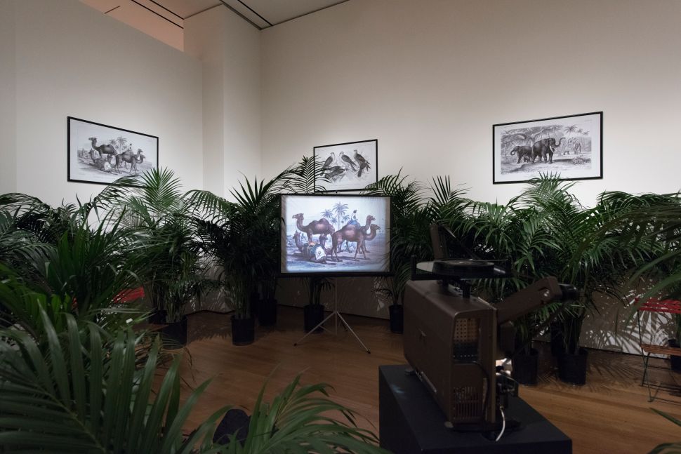 "Marcel Broodthaers: A Retrospective," installation view.