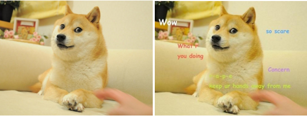 The original Doge (left) and a meme rendition (right).