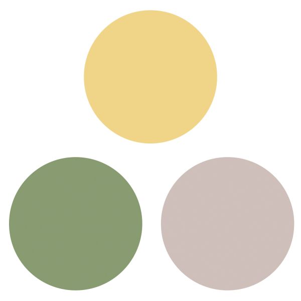 Color Swatches.