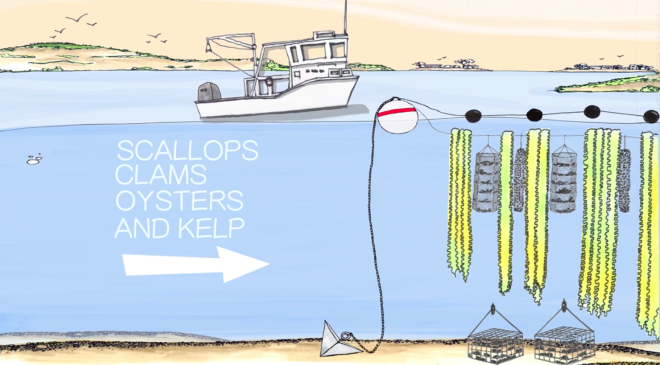 Diagram of vertical underwater farming