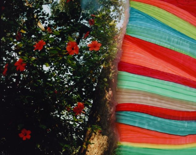 Chloe Sells, Flora, 2016.