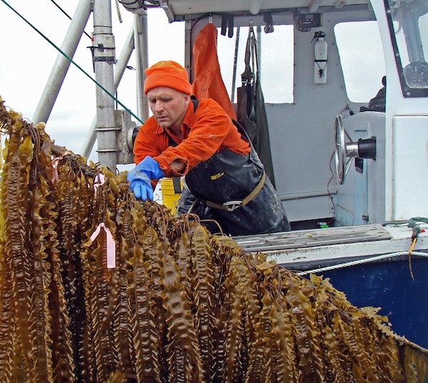 Aquaculture in action
