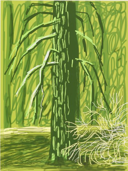 David Hockney, Untitled No.18, from "The Yosemite Suite, (2010).
