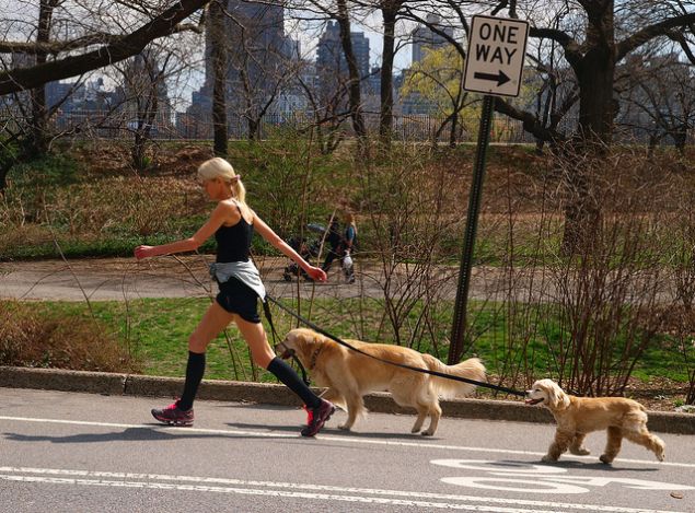 Central Park in Spring.