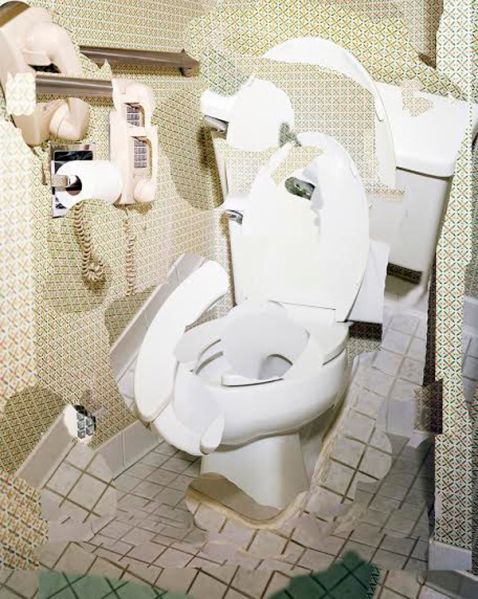 Lucas Blalock, Toilet With a Phone, 2015-2016.