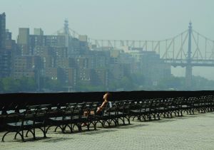 Residents of the Upper East Side enjoy Carl Schurz Park, on the East River in the 80s.