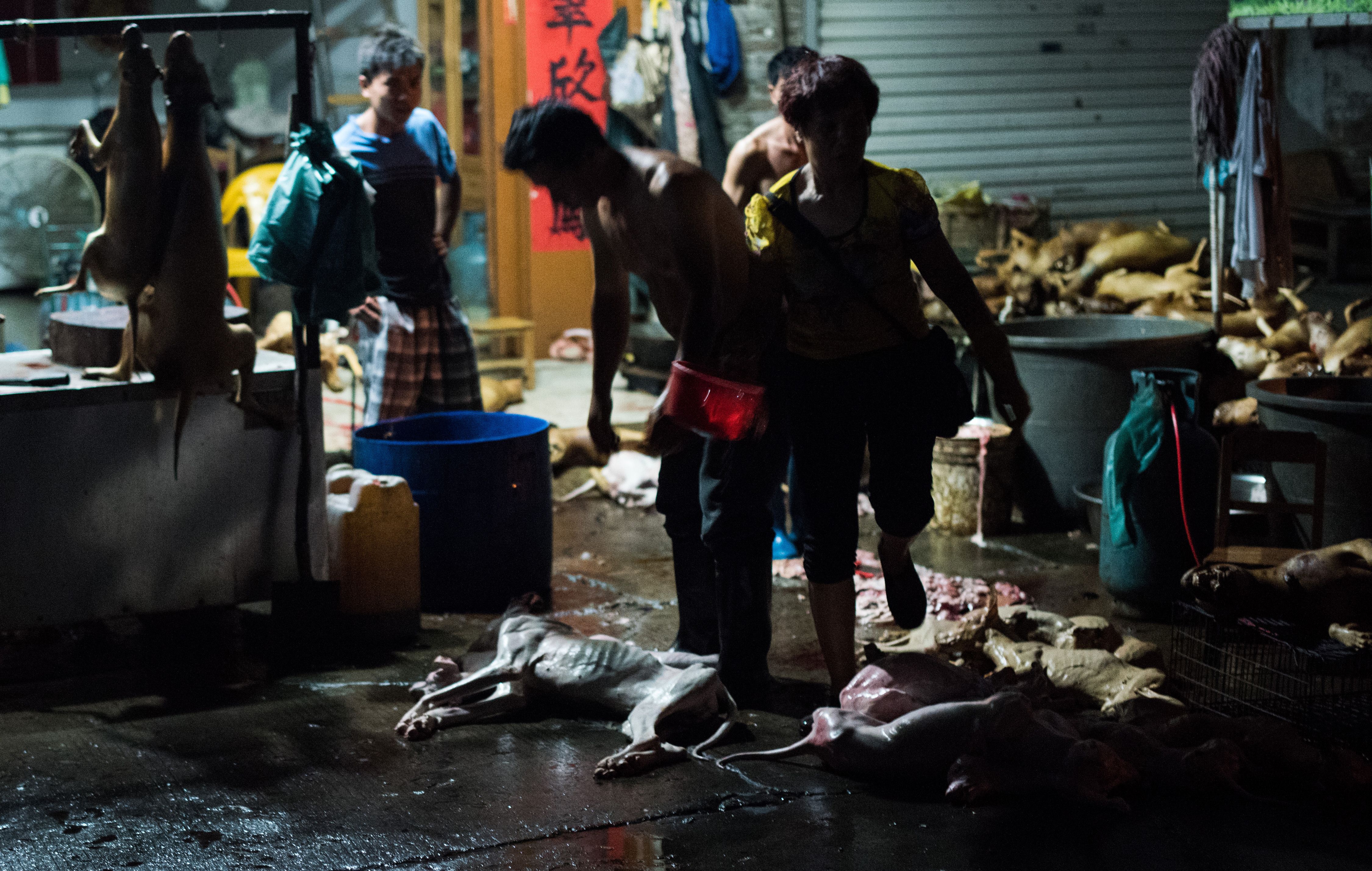 Cooked dogs are displayed at a vendor's stall in Yulin, in southern China's Guangxi province early on June 22, 2015. The city holds an annual festival devoted to the animal's meat on the summer solstice which has provoked an increasing backlash from animal protection activists. AFP PHOTO / JOHANNES EISELE