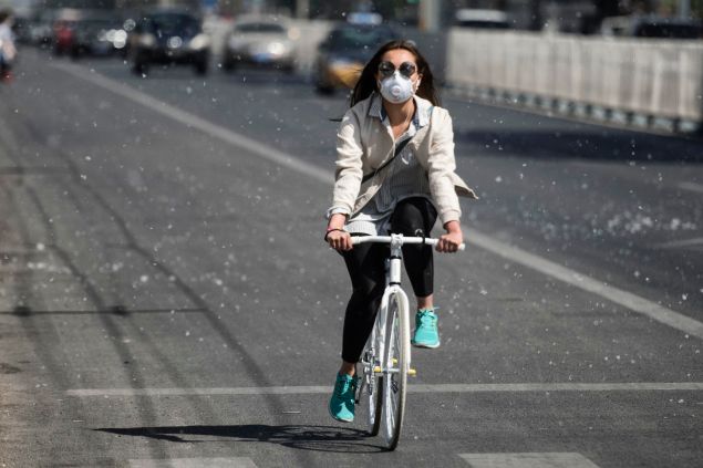This photo taken on April 9, 2016 shows a cyclist making her way along a street filled with white pollen falling from catkin-bearing trees as the return of pleasant weather marks the arrival of the allergy season in Beijing. / AFP / FRED DUFOUR