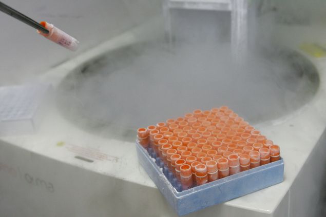 Rachel Lehmann-Haupt talks egg freezing and modern families