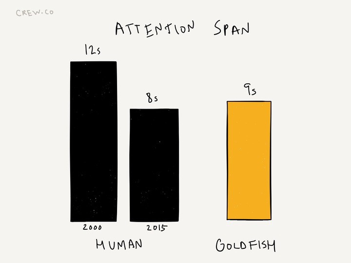 Attention span.
