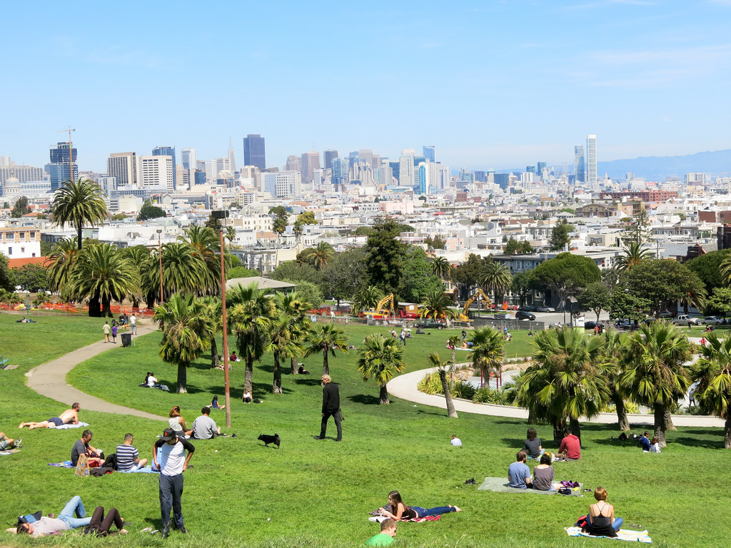 A view from a park in San Francisco.
