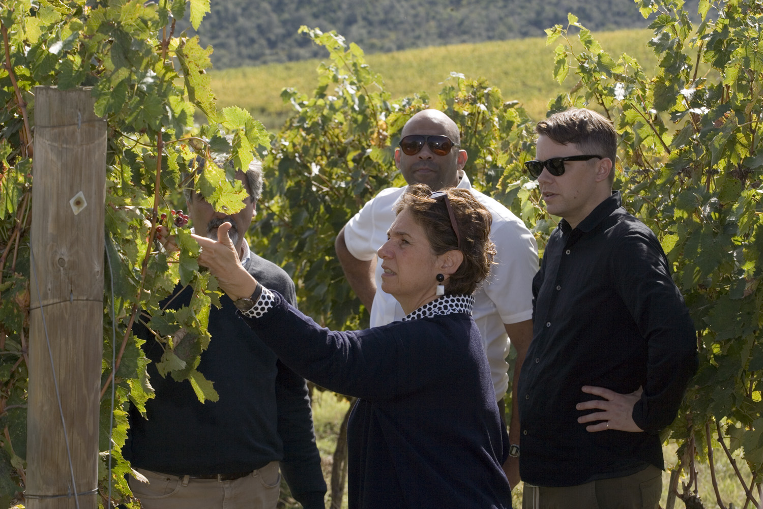 Tiziana Frescobaldi shows American artists Brannon and Wesley the vines that produce the Sangiovese grapes of CastelGiocondo Brunello di Montalcino.