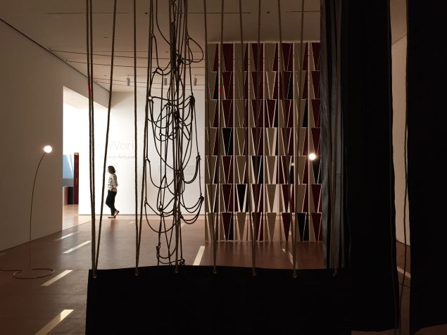 A view from inside the installation, looking toward the front of the gallery.