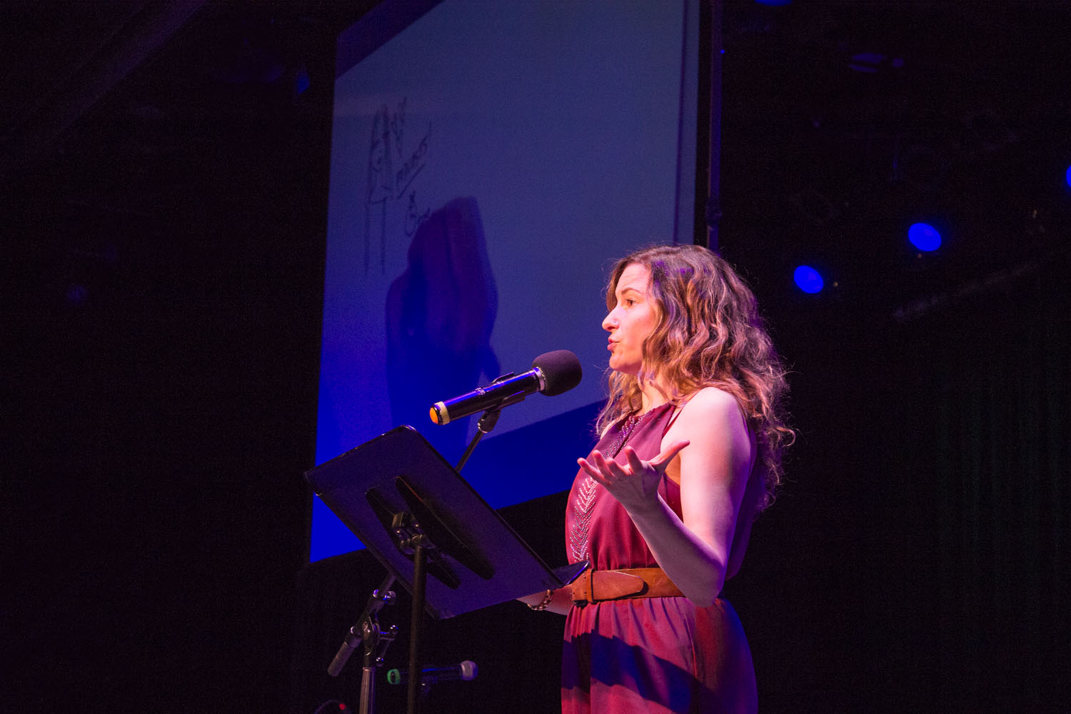 Amanda Stern at Happy Endings Show