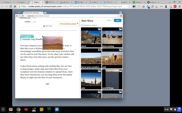 Codex's editor, in action.