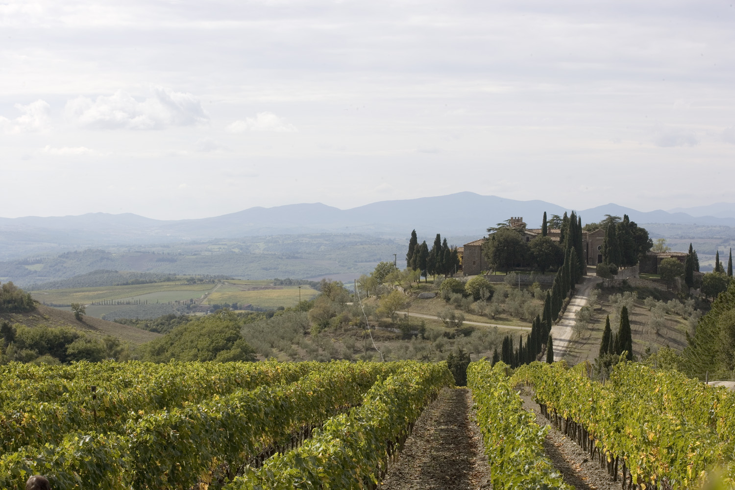 Tenuta CastelGiocondo in Montalcino, Tuscany.