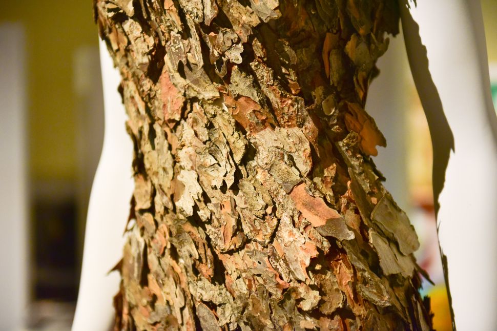 Detail of a pine bark gown by Tiziano Guardini