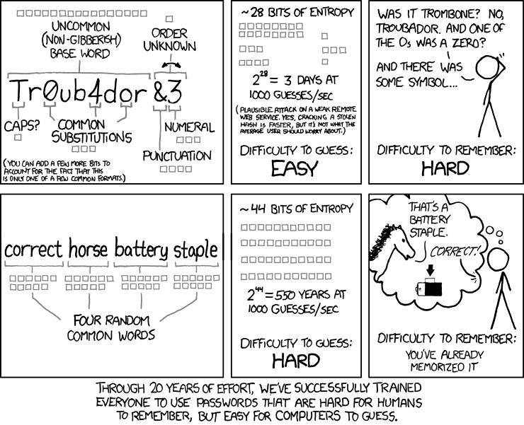 The trouble with really long passwords.