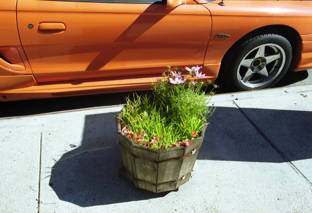 Hope Dickens, Orange car, 2015.