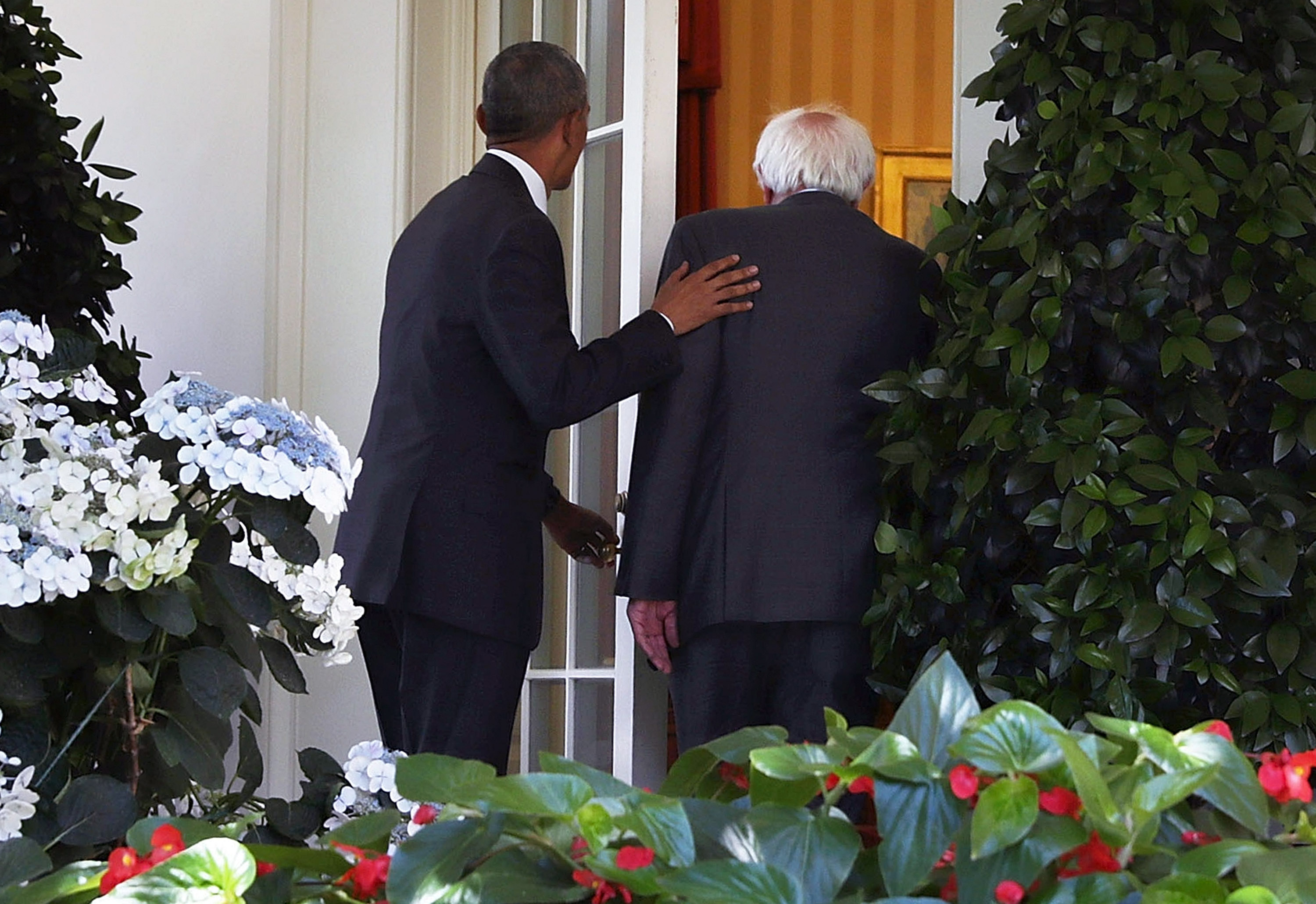 WASHINGTON, DC - JUNE 09: (EDITORS NOTE: Retransmission with alternate crop.) Democratic presidential candidate Sen. Bernie Sanders (D-VT) (R) enters the Oval Office with President Barack Obama (L) as he arrives at the White House for a meeting June 9, 2016 in Washington, DC. Sanders met with President Obama after Hillary Clinton has clinched the Democratic nomination for president. 