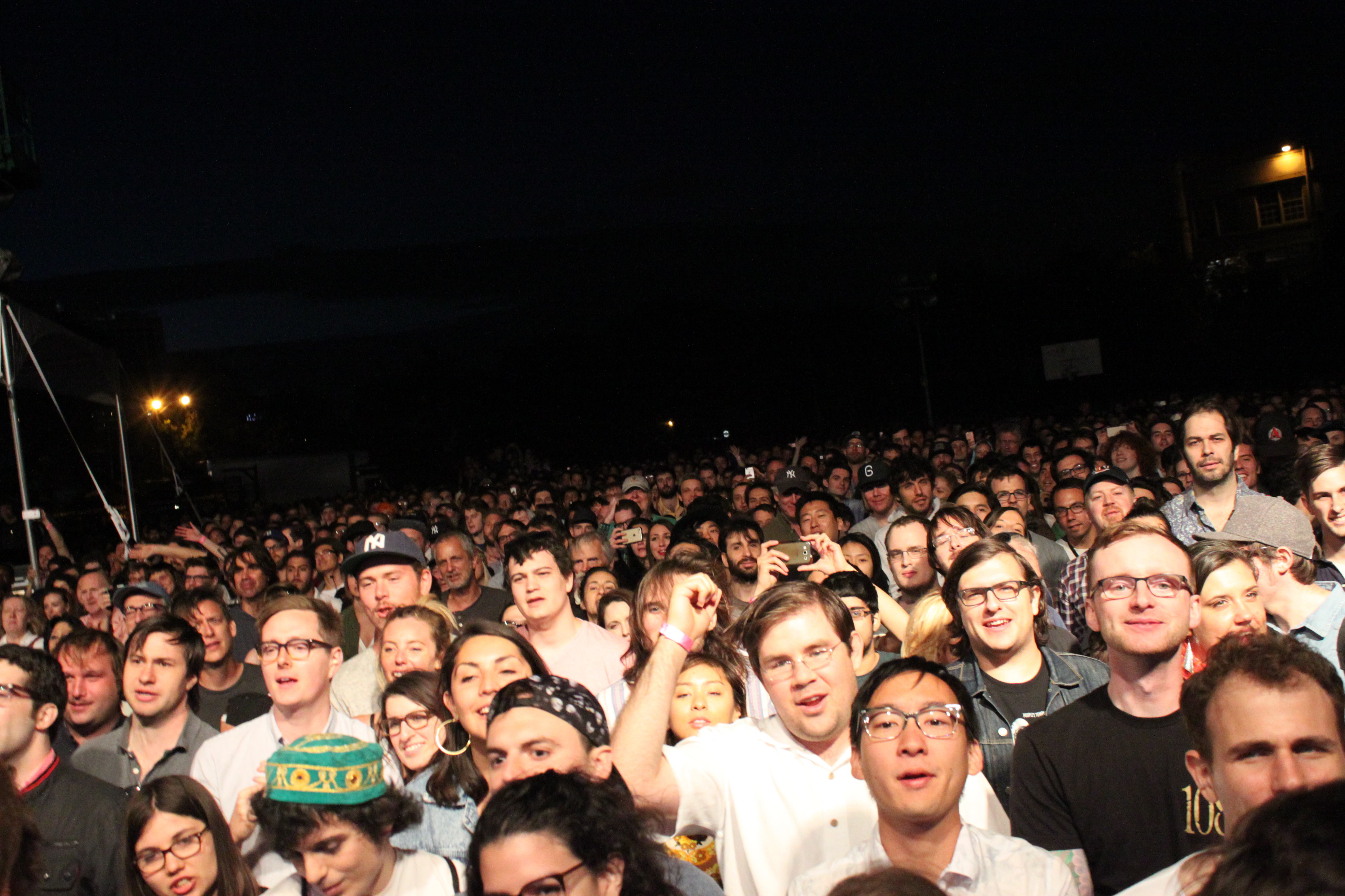 The crowd at Brian Wilson