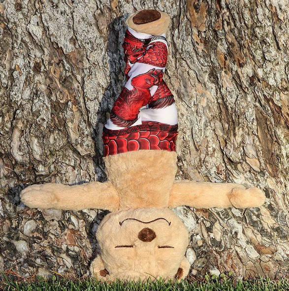 Meddy Teddy posing.