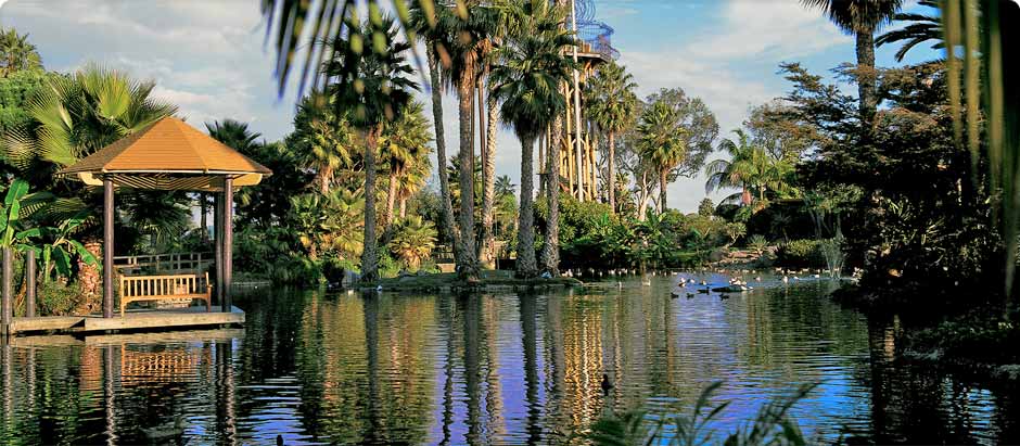 The Gathering Spot: The private island resort of Paradise Point is a quick drive from downtown San Diego, but its fire-pit-studded beach and Polynesian-accented bungalows feel like another planet. Wedding guests unpack and don’t leave the grounds all weekend.