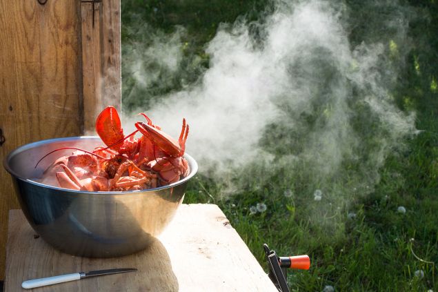 Lobster!