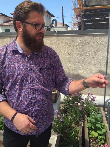 Michael Cimarusti examines edible flowers in Providence's herb garden.