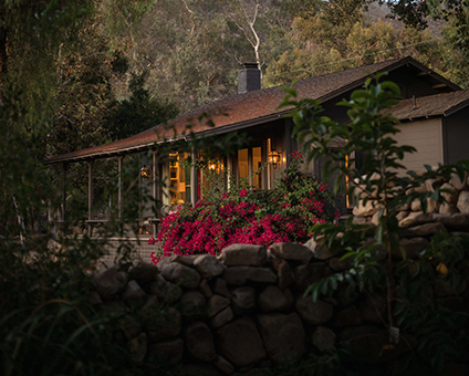 A holistic retreat for burnt-out businesswoman mamas.