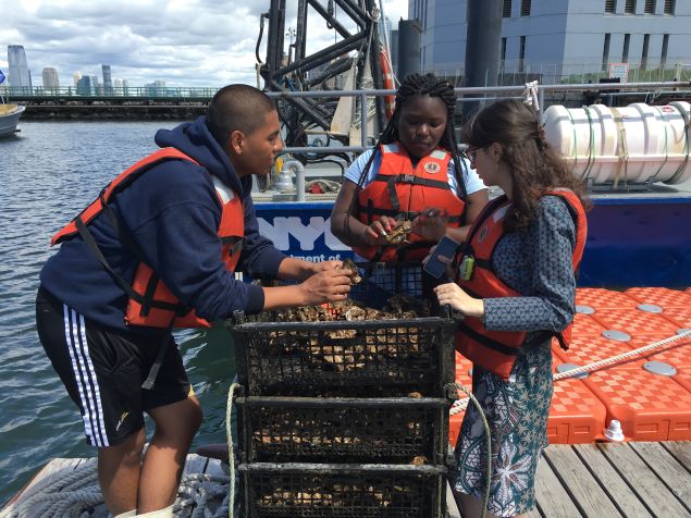 Aquaculture interns Anaya and Chris explaining the grow out process (Photo: Courtesy Billion Oyster Project)