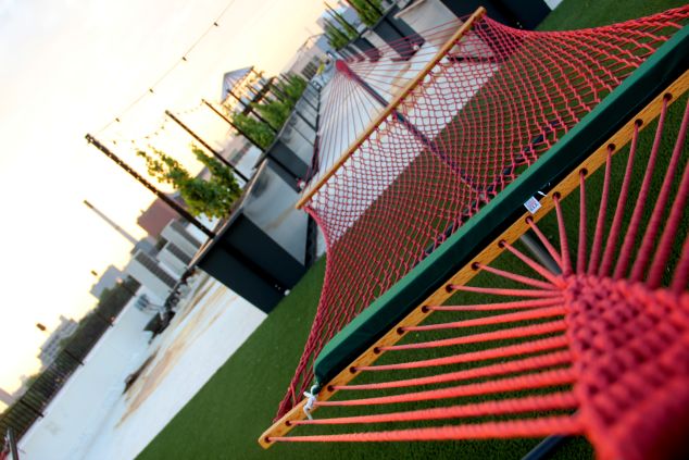 rooftop vineyard